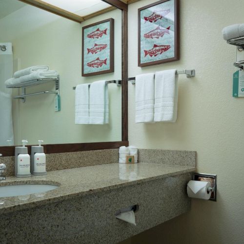 The image shows a bathroom with a granite countertop, sink, soap dispensers, towels, artwork of fish, and a toilet.