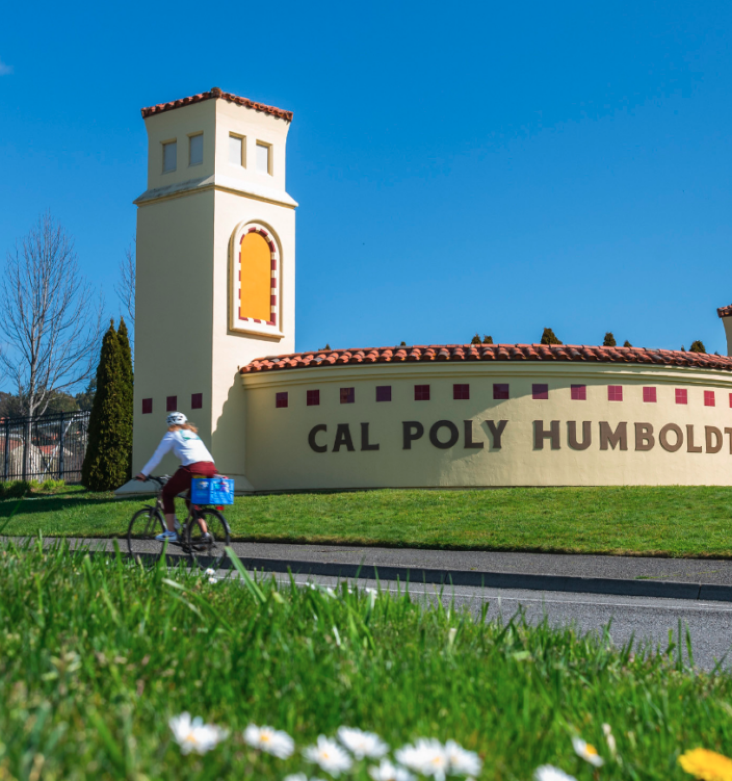 A cyclist rides past a sign for Cal Poly Humboldt under a clear blue sky, surrounded by green grass and a few bare trees in the background.